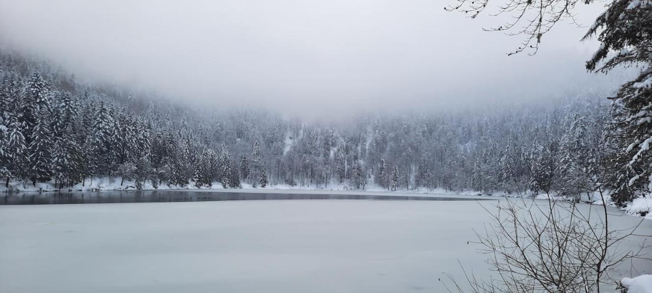 Vologne * La Bresse